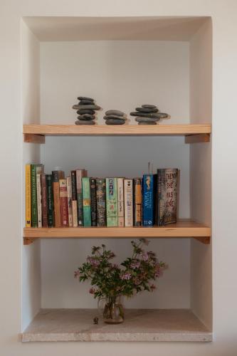 a book shelf with books and a vase with a plant at Neapolis Oasis - Lower House in Neapolis