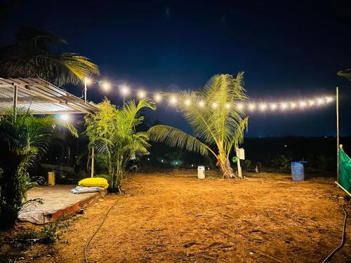 a group of palm trees and lights at night at The greenwood Igoor in Dāvangere