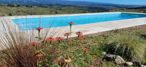 a swimming pool with red flowers in front of it at Cabaña Esquina Siracusa in Villa Yacanto