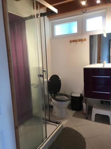 une salle de bain avec toilettes et douche en verre dans l'établissement Gîte cocon Vassivière Aux abords du lac, à Vassivière