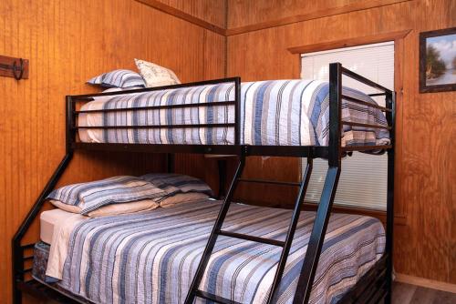 a couple of bunk beds in a room at Boulderdash Cabin in Bandera