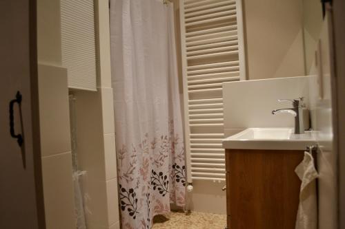 a bathroom with a sink and a shower curtain at BaoBa-GRACE BnB in Laufenburg