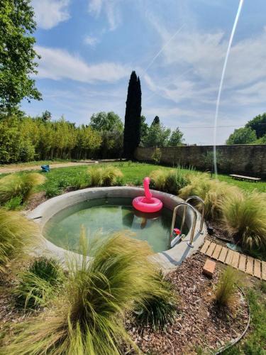 une petite piscine avec une bague rouge dans un jardin dans l'établissement Eine Magnanerie in der Provence, à Bouchet