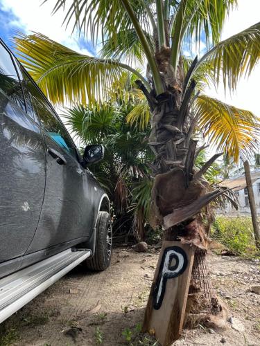 Fotografie z fotogalerie ubytování La Casa del sol, beachfront villa v destinaci El Cuyo