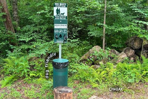 Chillax Creeksにある庭