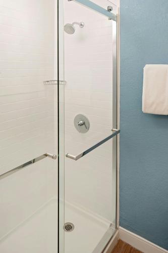 a shower with a glass door in a bathroom at Residence Inn Sunnyvale Silicon Valley I in Sunnyvale