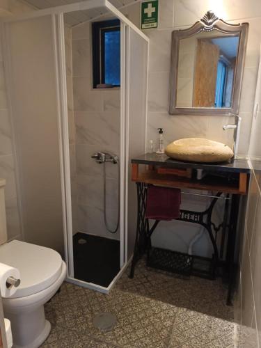 a bathroom with a shower and a toilet and a sink at O Canto do Melro, Guest House in Cortegaça
