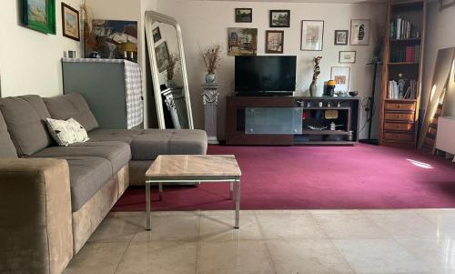 un salon avec un canapé et une télévision dans l'établissement Cute16, à Paris