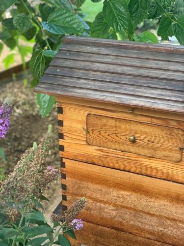 a wooden box sitting in a garden with flowers at Tree House Jan Juc in Torquay