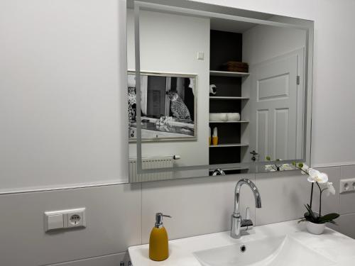 a bathroom with a sink and a mirror at Historie trifft Moderne in Weikersheim