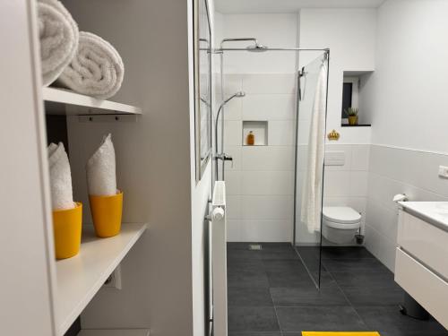 a bathroom with a shower and a toilet at Historie trifft Moderne in Weikersheim