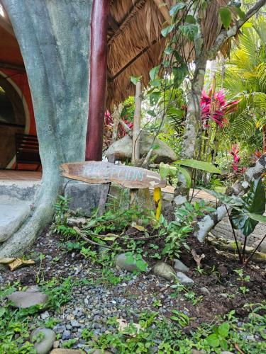 a bench sitting in the middle of a garden at Wildlife Lodge Cahuita in Cahuita