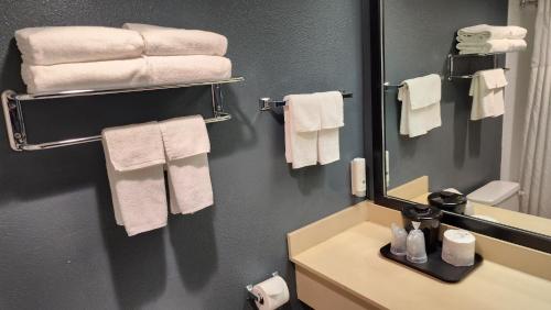 Um banheiro em Quality Inn & Suites Garden Of The Gods