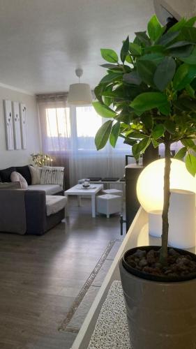 a living room with a potted tree in a pot at Cozy'Maisonnette 5Chb Brest Guip in Guipavas