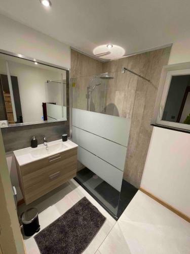 une salle de bain avec une douche en verre et un lavabo dans l'établissement O'Coeur Des Vosges, à Gérardmer