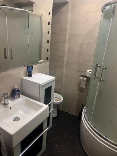 a bathroom with a sink and a shower and a toilet at Kwatery pracownicze Rumia in Rumia