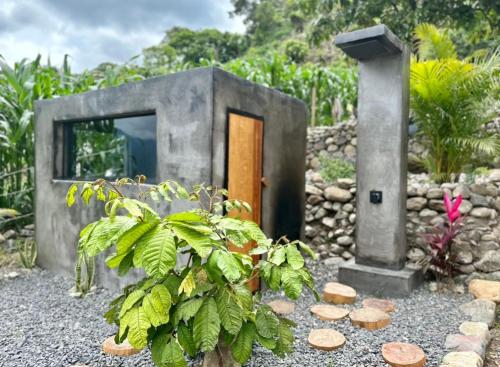 Κήπος έξω από το Lakefront A-Frame - The Lodge