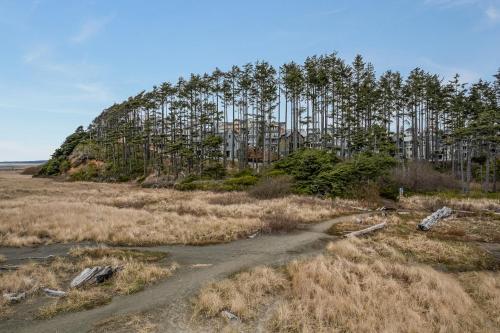 a dirt road in a field with a group of trees at Shifting Gears by Seabrook Hospitality in Pacific Beach