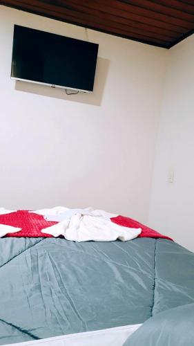 a bedroom with a bed with a tv on the wall at Cantinho Dona Cleide in Monte Verde