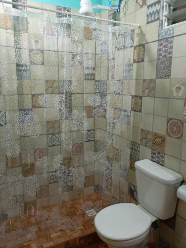 a bathroom with a toilet and a shower curtain at APART FARFALLa in Puerto Iguazú