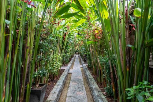 Taman di luar Bali Prime Villas Seminyak by Kanaya Hospitality