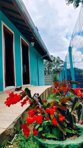 a plant with red flowers in front of a house at Cantinho Dona Cleide in Monte Verde