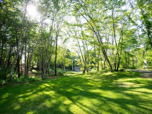 a field of green grass with trees and the sun at Stella八ヶ岳原村-星空,サウナ,BBQ,大型スクリーンを楽しめる八ヶ岳の貸切宿 in Hara
