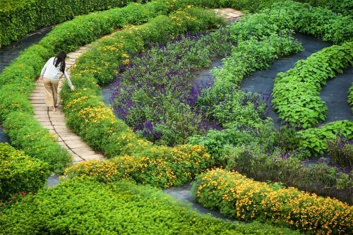a woman walking through a garden with flowers at Gaeavilla Resort in Jian