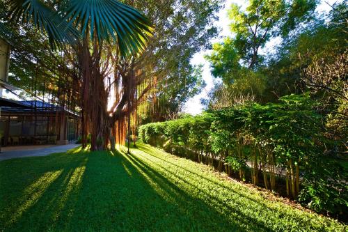 a tree in the middle of a field of grass at Gaeavilla Resort in Jian