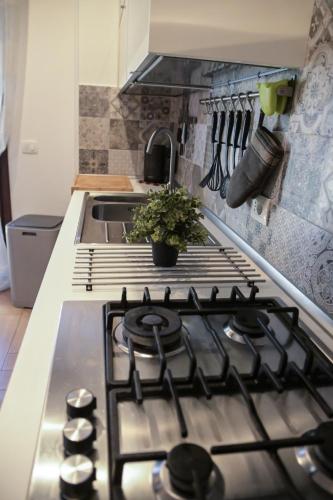 a kitchen with a stove top with a plant on it at Giorgia House in Pieta