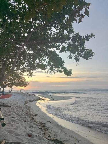 a sandy beach with a tree and the ocean at Enas cottages in Pamilacan IsLand in Baclayon