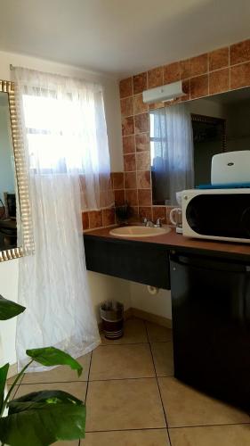a kitchen with a sink and a microwave at Lago Motor Inn in Lake Worth