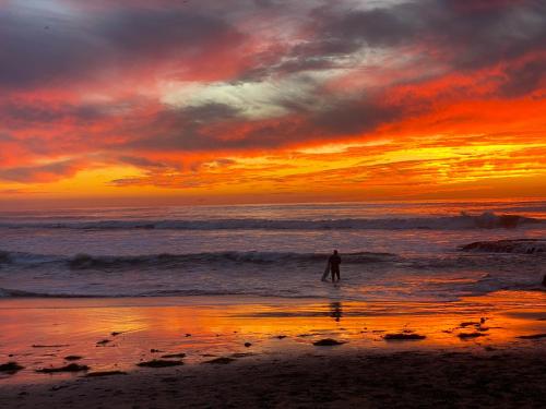 a person standing in the ocean at sunset at Modern Luxury 2BR Apt in Heart of Ocean Beach in San Diego