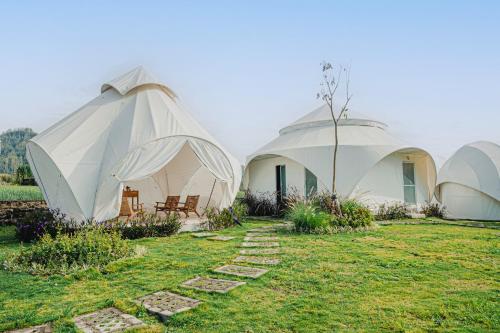 a group of three dome tents in a field at Onion Hill Glamping Managed by Manara in Kintamani