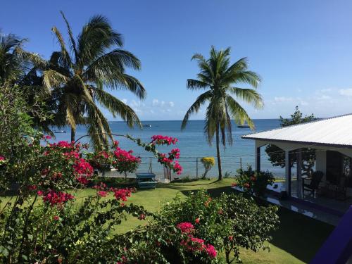 a view of the ocean from a resort with pink flowers at Sea View in Little Corn Island