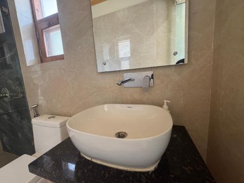 The Vintage Hill Village - Himalayan Boutique Resort في كاناتال: حمام مع حوض ومرحاض ومرآة
