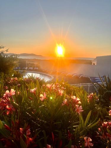 - un coucher de soleil sur un jardin fleuri dans l'établissement Appartamento Mirella con piscina, à Lumio