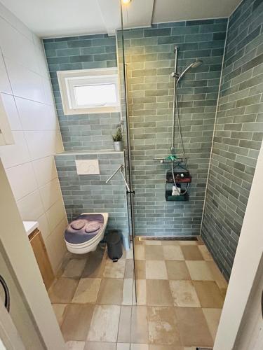 a bathroom with a toilet and a shower at Nice chalet near Reeuwijkse plassen in Reeuwijk