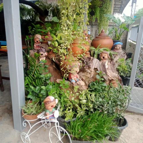 a display of potted plants and other plants at บ้านจัสมิน in Sukhothai