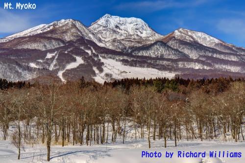 a snow covered mountain range with trees in the foreground at Akakura Wakui Hotel in Myoko