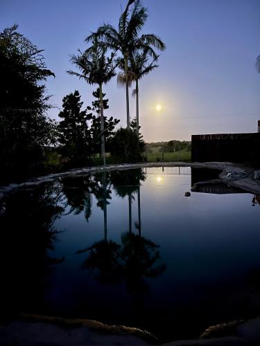 a pool of water with palm trees and the sunset at Manuka Getaway in Maleny