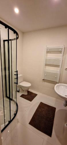 a bathroom with a shower and a toilet and a sink at Countryside double bed room Kisiniai in Kisiniai