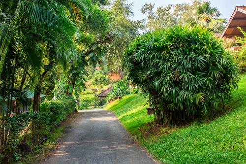 a dirt road with trees on the side of a field at Stone Water Eco Resort in Bogmolo