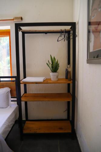 a room with a shelf with a potted plant on it at Himkosi Farm by the River in Almora