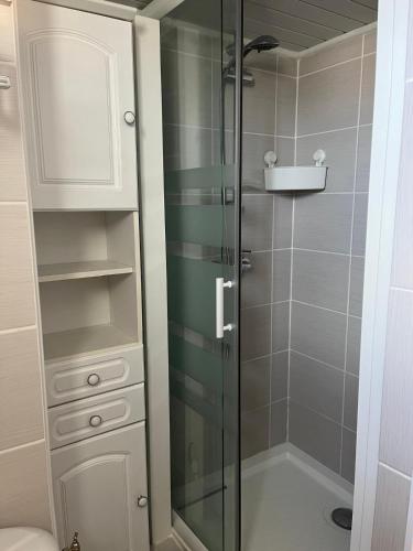 une douche avec une porte vitrée dans une salle de bain dans l'établissement Le cocon bleu du cap, au Cap d'Agde