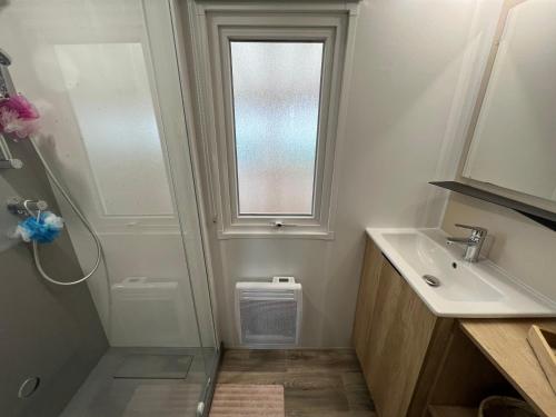 une salle de bain avec une douche et un lavabo et une fenêtre dans l'établissement Natuara - L'horizon du lac - Wifi inclu, à Gastes