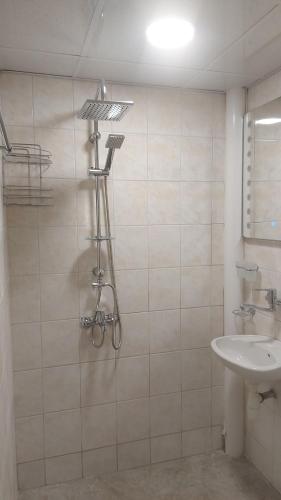 a bathroom with a shower and a sink at Цар Освободител 108 in Ruse