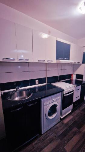 a kitchen with a sink and a washing machine at Apartament Vintage in Galaţi