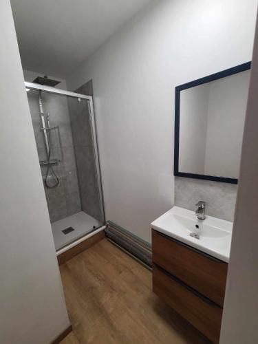 une salle de bain avec une douche, un lavabo et un miroir dans l'établissement Appartement nantais 4 chambres, à Nantes
