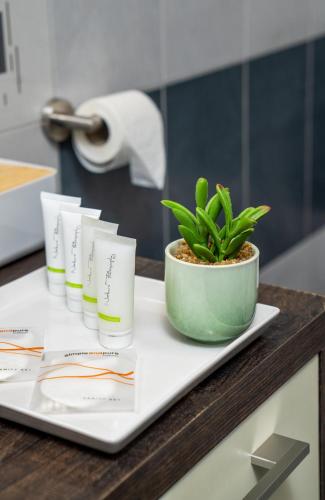 a tray with a potted plant on a counter at Hotel Grunt in Mladá Boleslav